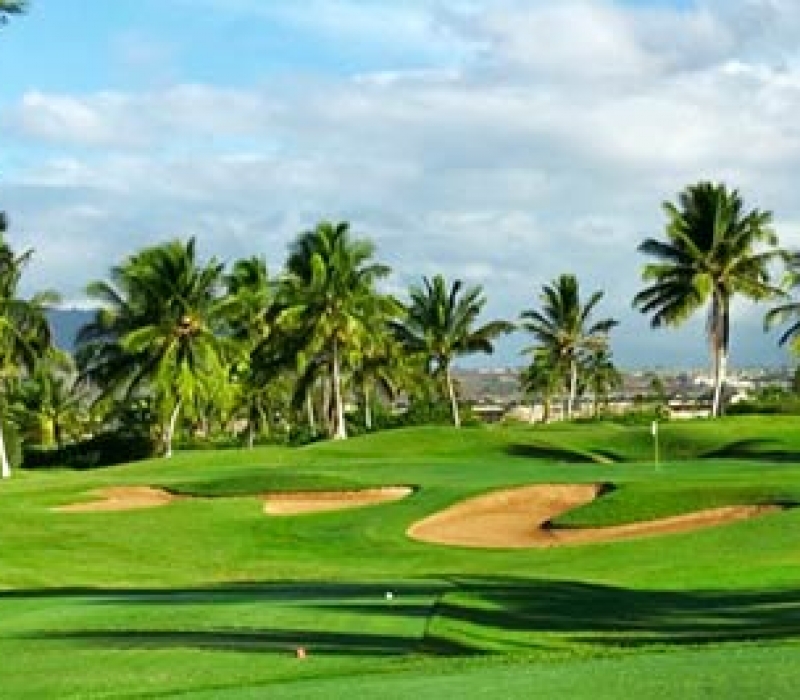 Best Golf Courses on Oahu Customized Oahu Golf Tours & Private Caddy