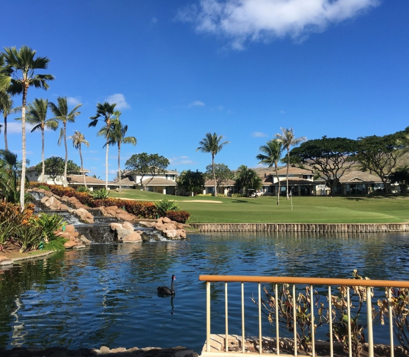 Best Golf Courses on Oahu Customized Oahu Golf Tours & Private Caddy